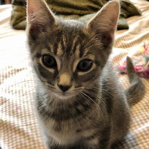 Meet your Posher, Krista